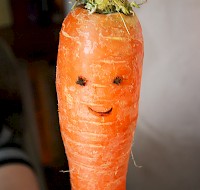 Beyond Carrots: Foods That Promote Healthy Vision